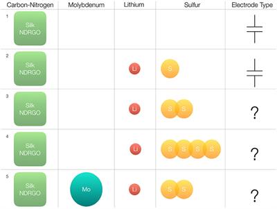 “Induced Electron Transfer” in Silk Cocoon Derived N-Doped Reduced Graphene Oxide-Mo-Li-S Electrode